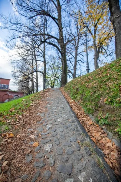 L'Essenziale Fronte Mura, Luxury stay in Lucca city center – Photos 11